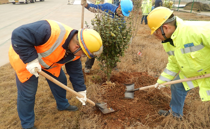 Planting Trees for a Greener Community